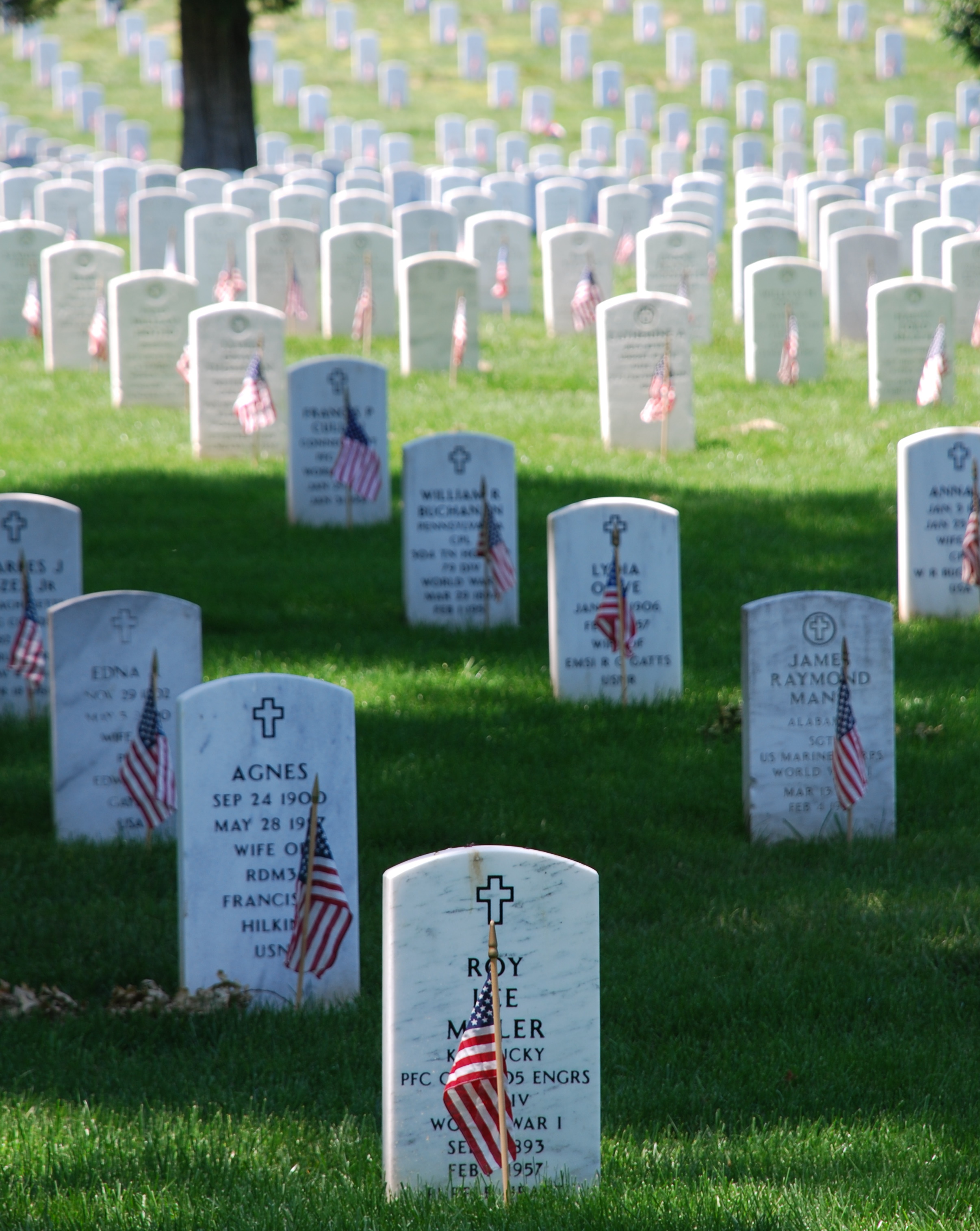 Image of gravestones at a military cemetery
