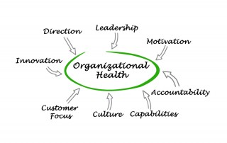 Whiteboard with text: Organizational health at center and other disciplines surrounding