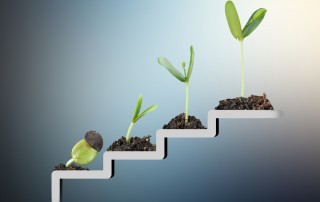 Image of stairs with seedlings growing larger on each stair