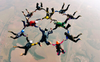 Building Blocks and High Performance Processes of True Teams